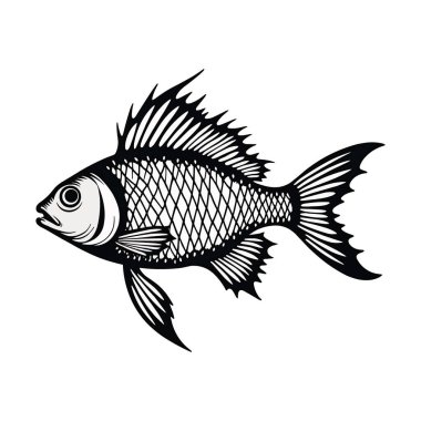 Kerevit Minimalist Vektör illüstrasyonu