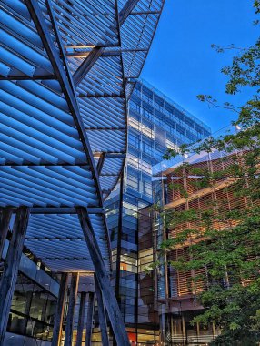 Mimari duvar halısı. Modern mimari ve doğal elementlerin bir karışımı. Görüntü, çarpıcı bir ışık ve gölge etkileşimi sergiliyor. Ahşap kaplanmış bir yapı, cam öndeki bir binanın arka planına karşı dinamik bir şablon oluşturuyor..