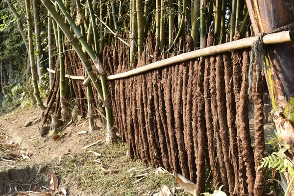 Ormandaki inek bambu çitleri