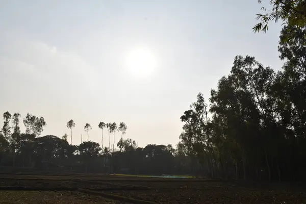Ağaçlı ve ağaçlı güzel bir manzara.