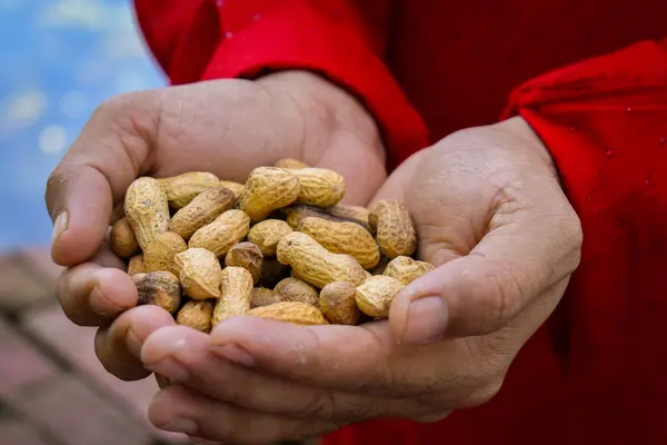 Fıstıklı bir kase tutarken ellerini kapat..