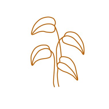 Vektör bölümü, ağ için çizim