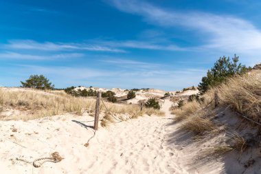 Güzel manzara manzarası, Çek Cumhuriyeti 'nin Baltık Se yakınlarında.