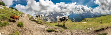 Yazın ünlü Tre Cime di Lavaredo. Alp Dağları manzarası. Dolomitler, Alpler, İtalya, Avrupa (Drei Zinnen)
