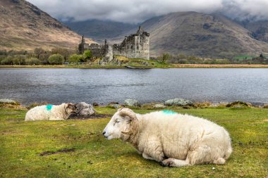Kilchurn Şatosu 'nun panoramik manzarası, İskoçya
