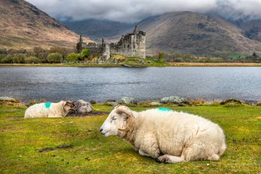 Panoramic view of Kilchurn Castle, Highlands, Scotland clipart