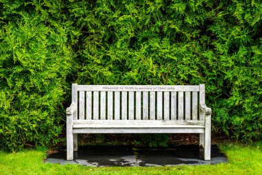 Yeşil arka plandaki beyaz bank thuja, Highlands, Scotl 'dan