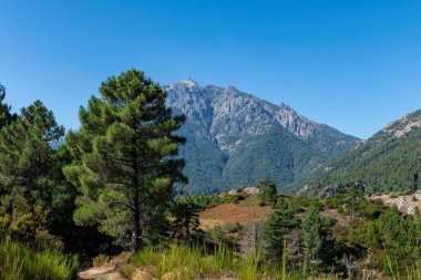 Katmanlı dağ manzarası, Korsika, Fransa