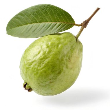 Beyaz arkaplanda tek guava meyvesi