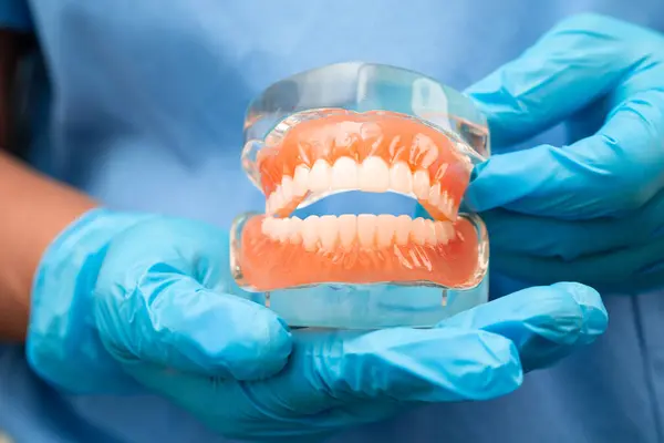 Diş hekimliği hakkında bilgi edinmek için Asyalı diş hekimi elinde tutuyor.