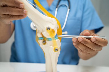 Omurga ve kemik modeli taşıyan Asyalı doktor, ortopedi bölümünde tedavi için bel kemiği yerinden oynamış disk parçası..