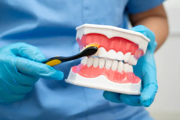 Diş fırçasıyla dişleri temizleyen doktor hasta ve dişçiye diş hekimliği dersi veriyor..