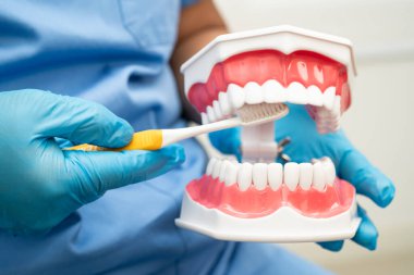 Diş fırçasıyla dişleri temizleyen doktor hasta ve dişçiye diş hekimliği dersi veriyor..