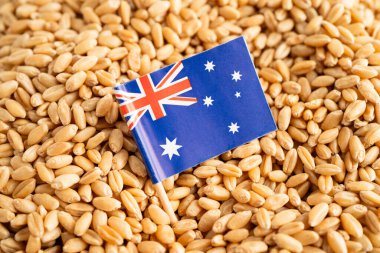 Avustralya bayrağı buğday ve tahıl kulaklı tarım ve organik çiftlik