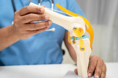 Omurga ve kemik modeli taşıyan Asyalı doktor, ortopedi bölümünde tedavi için bel kemiği yerinden oynamış disk parçası..