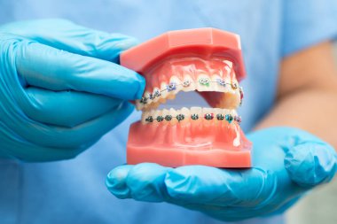 Diş hekimliği hakkında bilgi edinmek için Asyalı diş hekimi elinde tutuyor.