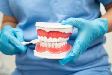 Diş fırçasıyla dişleri temizleyen doktor hasta ve dişçiye diş hekimliği dersi veriyor..