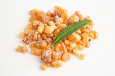 Tütsü ya da olibanum aromatik reçine tütsü ve parfümlerde kullanılan beyaz arka planda izole edilmiş..