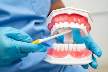 Diş fırçasıyla dişleri temizleyen doktor hasta ve dişçiye diş hekimliği dersi veriyor..