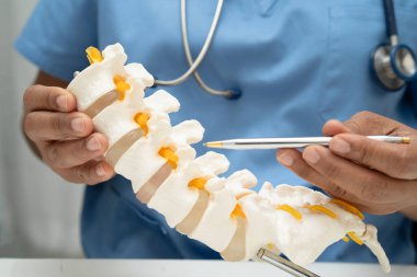 Omurga ve kemik modeli taşıyan Asyalı doktor, ortopedi bölümünde tedavi için bel kemiği yerinden oynamış disk parçası..