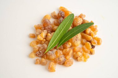 Tütsü ya da olibanum aromatik reçine tütsü ve parfümlerde kullanılan beyaz arka planda izole edilmiş..