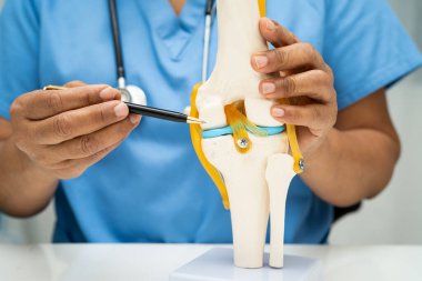 Omurga ve kemik modeli taşıyan Asyalı doktor, ortopedi bölümünde tedavi için bel kemiği yerinden oynamış disk parçası..