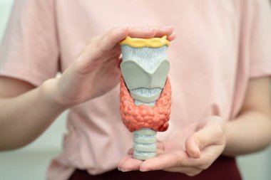 Hipertiroidizm, aşırı aktif tiroid, tiroid lenfoma, tiroid bezi insan anatomisi olan Asyalı kadın..