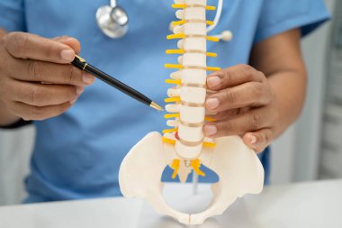 Omurga ve kemik modeli taşıyan Asyalı doktor, ortopedi bölümünde tedavi için bel kemiği yerinden oynamış disk parçası..