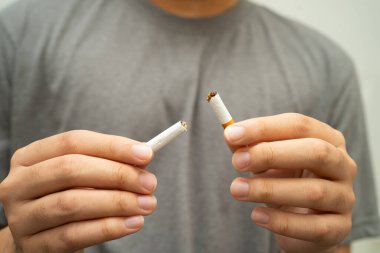 Sigarayı bırak, Asyalı genç adam kırıyor sigarayı yok et.