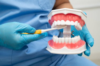 Diş fırçasıyla dişleri temizleyen doktor hasta ve dişçiye diş hekimliği dersi veriyor..