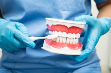 Diş fırçasıyla dişleri temizleyen doktor hasta ve dişçiye diş hekimliği dersi veriyor..