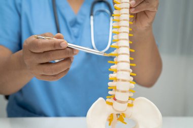 Omurga ve kemik modeli taşıyan Asyalı doktor, ortopedi bölümünde tedavi için bel kemiği yerinden oynamış disk parçası..