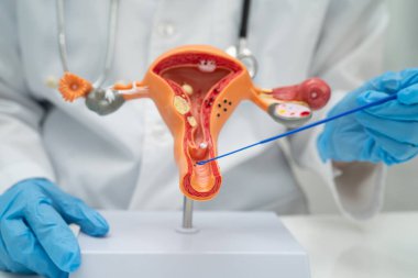 Vajinal ve rahim boynu sıvısı testi için rahmi tutan doktor doğum ve jinekolojiyi kontrol etti..