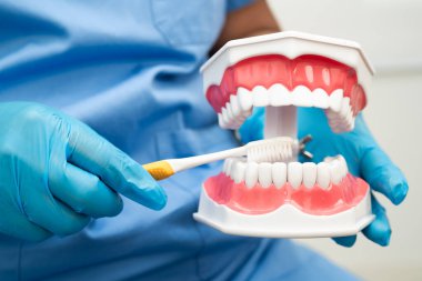 Diş fırçasıyla dişleri temizleyen doktor hasta ve dişçiye diş hekimliği dersi veriyor..