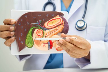 Safra kesesi, pankreas dalağı ve onikiparmak bağırsağı olan karaciğer, Asyalı doktor hastanede teşhis ve tedavi için insan anatomisi modeli tutuyor..