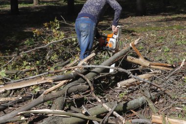 Bir oduncunun elinde turuncu testere, kesilen ağaçlar, kütükler..