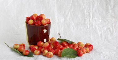 İki renkli bir bardak ağzına kadar beyaz arka planda olgun pembe kirazlarla doludur..