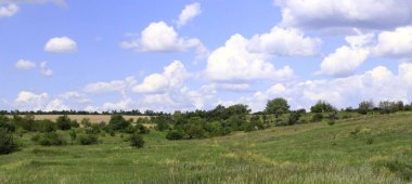 Yeşil bozkır çimleri, uzak orman, bulutlu mavi gökyüzü. Peyzaj.