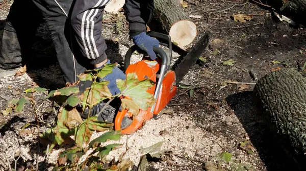 09.24.2022. Ukrayna, Donbass. Bir işçi devrilmiş ağaçları elektrikli testereyle keser..