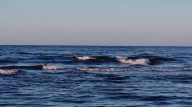 Baltık Denizi 'nin kumları ve günbatımında denizin dalgaları. Letonya, Riga, Bolderaja. Yüksek kalite 4k görüntü yavaş çekim