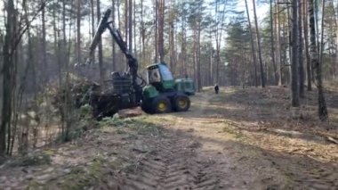 Traktör ağaçları ormandan dışarı taşır. Yüksek kalite 4k görüntü