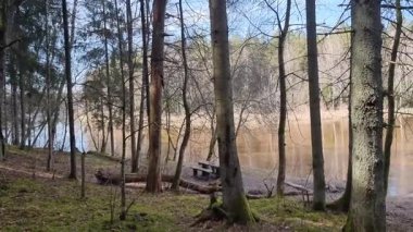 Gauja Nehri, Earl Spring. Yüksek kalite 4k görüntü