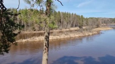 Gauja nehrinin güzel manzarası, gauja milli parkı. Yüksek kalite 4k görüntü