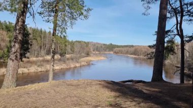 Gauja nehrinin güzel manzarası, gauja milli parkı. Yüksek kalite 4k görüntü