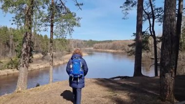 Sırt çantalı bir kadın Gauja nehrinin kıyısında yürüyor. Yüksek kalite 4k görüntü