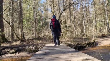 Yanında bir adam olan bir kadın, dağ yürüyüşünde tahta köprüden geçiyor. Yüksek kalite 4k görüntü