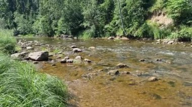 Amata nehrinin kayalık akıntısı. Güneşli bir yaz günü. - Letonya. Yüksek kalite 4k görüntü