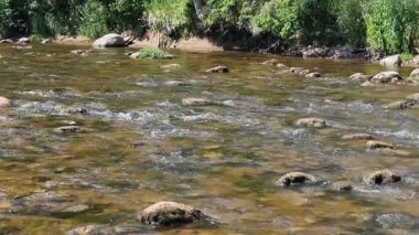 Amata nehrinin kayalık akıntısı. Güneşli bir yaz günü. - Letonya. Yüksek kalite 4k görüntü