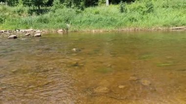 Amata nehrinin kayalık akıntısı. Güneşli bir yaz günü. - Letonya. Yüksek kalite 4k görüntü