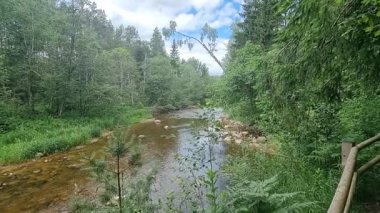 Amata kayalık nehri, güneşli bir yaz günü. Yüksek kalite 4k görüntü